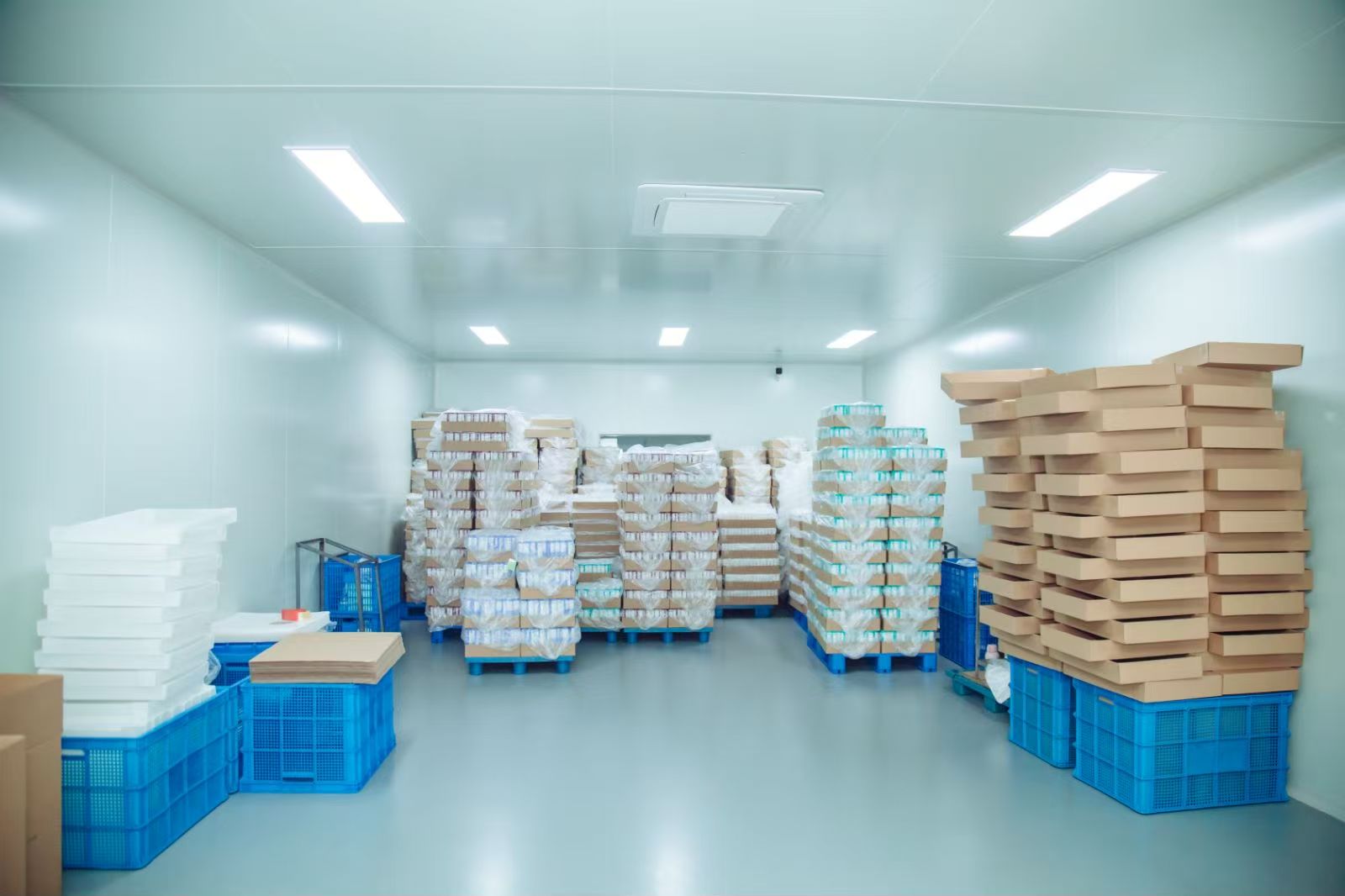 Packing Workshop
